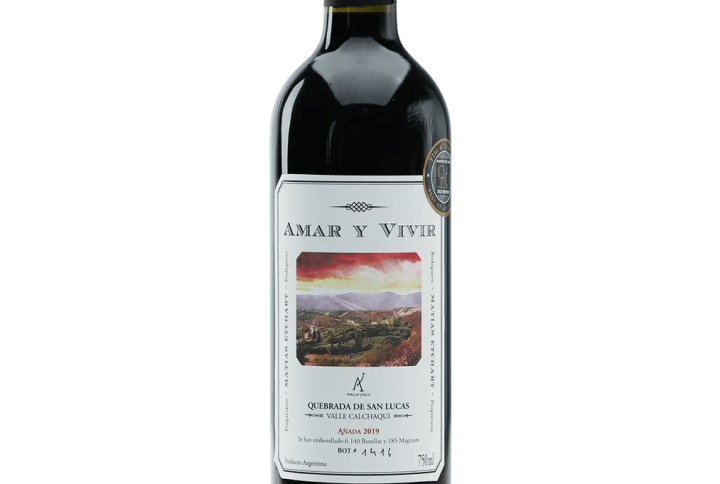 Amar y Vivir Malbec